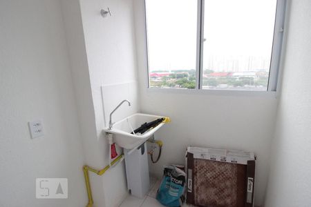 Cozinha e Área de Serviço de apartamento para alugar com 2 quartos, 44m² em Jardim das Graças, São Paulo