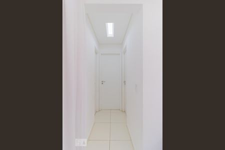 Corredor de apartamento à venda com 2 quartos, 52m² em Chácara Cruzeiro do Sul, São Paulo