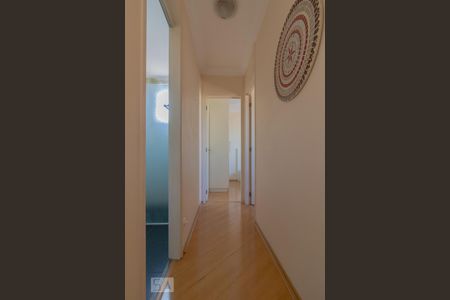 Corredor de apartamento à venda com 2 quartos, 50m² em Vila Vera, São Paulo