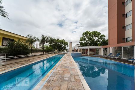 Piscina de apartamento para alugar com 3 quartos, 65m² em Casa Branca, Santo André