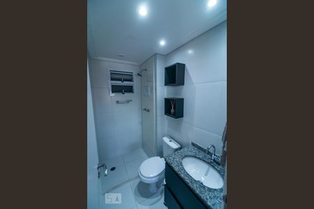 Banheiro de apartamento para alugar com 2 quartos, 60m² em Belenzinho, São Paulo