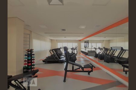 Apartamento para alugar com 56m², 2 quartos e 1 vaga Apartamento para alugar com 56m², 2 quartos e 1 vagaÁrea comum - Academia