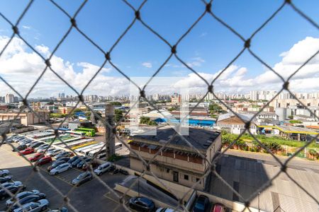 Apartamento para alugar com 50m², 3 quartos e 1 vaga Apartamento para alugar com 50m², 3 quartos e 1 vagaVista do Quarto 2