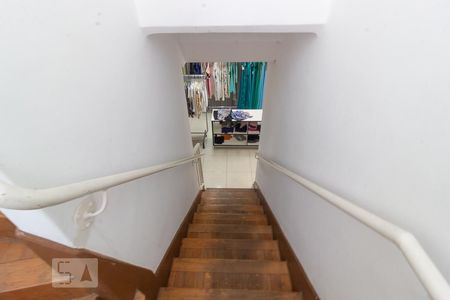 Escadas de casa para alugar com 4 quartos, 290m² em Barroca, Belo Horizonte