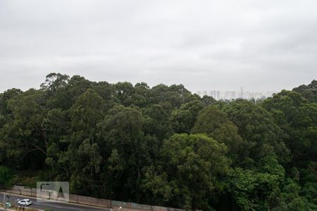 VISTA SALA de apartamento para alugar com 2 quartos, 44m² em Jardim Íris, São Paulo