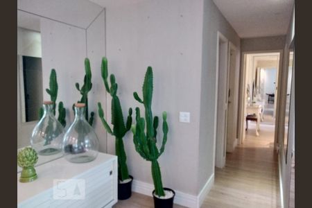 Corredor de apartamento para alugar com 3 quartos, 112m² em Recreio dos Bandeirantes, Rio de Janeiro