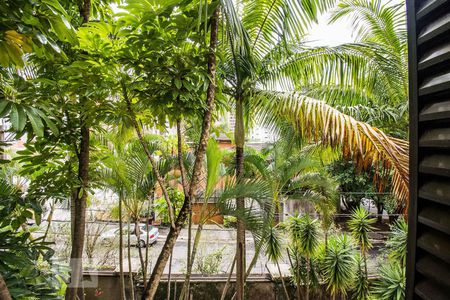 Apartamento à venda com 248m², 3 quartos e 3 vagasVista da Suíte 1