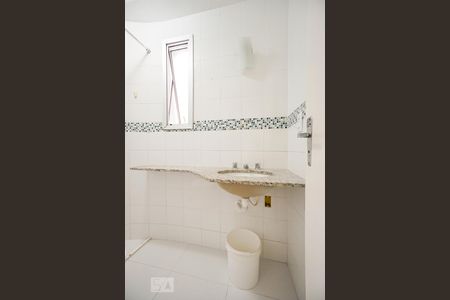 Banheiro de apartamento para alugar com 2 quartos, 56m² em Quinta da Paineira, São Paulo