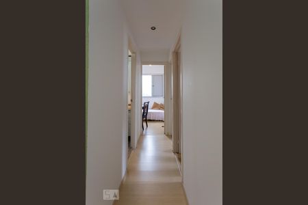 Corredor de apartamento à venda com 3 quartos, 60m² em Jardim Dom Vieira, Campinas