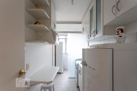 Cozinha de apartamento para alugar com 3 quartos, 60m² em Jardim Dom Vieira, Campinas