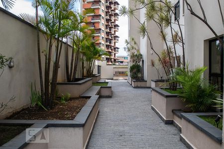 Apartamento para alugar com 67m², 2 quartos e 2 vagas Apartamento para alugar com 67m², 2 quartos e 2 vagasÁREA COMUM