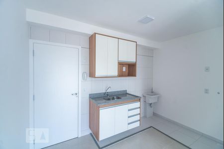 Cozinha de apartamento para alugar com 1 quarto, 33m² em Brás, São Paulo