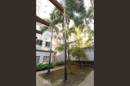 Apartamento para alugar com 118m², 3 quartos e 2 vagas Apartamento para alugar com 118m², 3 quartos e 2 vagasÁrea Externa - Convívio