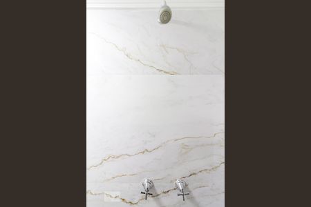 Apartamento para alugar com 65m², 2 quartos e 1 vagaChuveiro do Banheiro Social 