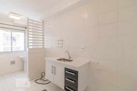 Cozinha de apartamento para alugar com 3 quartos, 62m² em Vila Homero Thon, Santo André