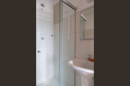 Banheiro  de apartamento para alugar com 2 quartos, 53m² em Cambuci, São Paulo