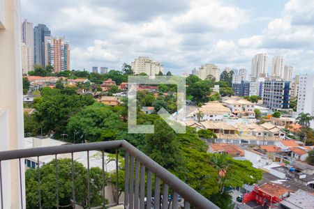 Varanda Sala de apartamento para alugar com 3 quartos, 170m² em Vila São Francisco, São Paulo
