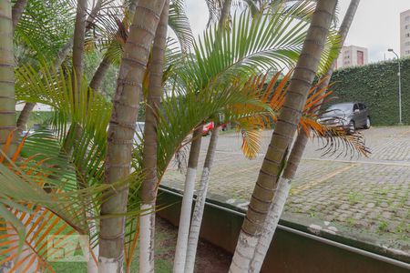 Apartamento à venda com 63m², 3 quartos e 1 vaga Apartamento à venda com 63m², 3 quartos e 1 vagaVista Quarto 2