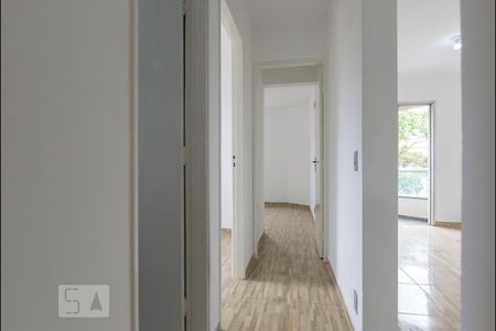 Sala (Corredor) de apartamento para alugar com 3 quartos, 71m² em Vila das Mercês, São Paulo