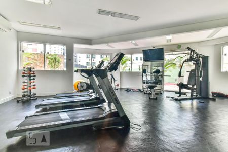 Academia de apartamento para alugar com 1 quarto, 40m² em Pinheiros, São Paulo