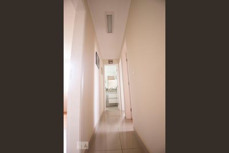 corredor de apartamento para alugar com 3 quartos, 63m² em Jardim Nova Europa, Campinas