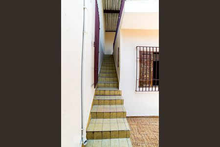 Casa à venda com 300m², 3 quartos e sem vagaEscadas para Churrasqueira