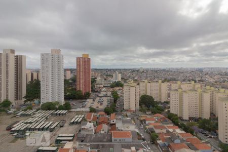 Apartamento para alugar com 60m², 2 quartos e 1 vaga Apartamento para alugar com 60m², 2 quartos e 1 vagaVista Quarto 2