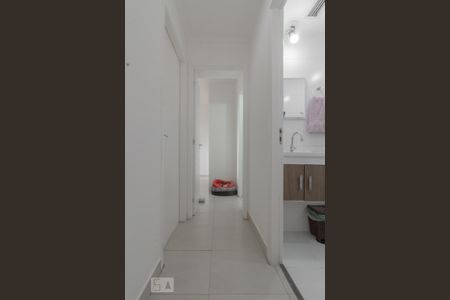 Corredor de apartamento para alugar com 2 quartos, 60m² em Vila Vermelha, São Paulo