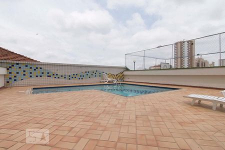 Área comum - Piscina de apartamento à venda com 5 quartos, 244m² em Jardim São Paulo, São Paulo
