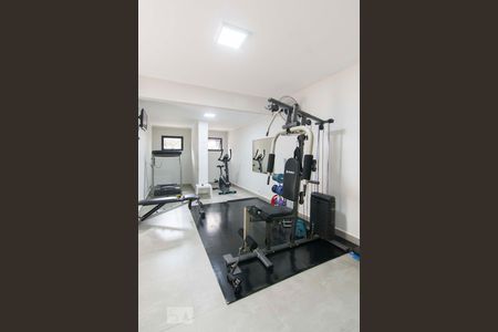 Área comum - Academia de apartamento à venda com 5 quartos, 244m² em Jardim São Paulo, São Paulo