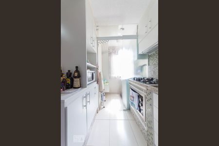 Cozinha de apartamento para alugar com 2 quartos, 45m² em Vila Marieta, Campinas