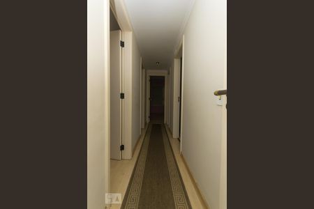 Corredor de apartamento para alugar com 4 quartos, 156m² em Vila Mascote, São Paulo