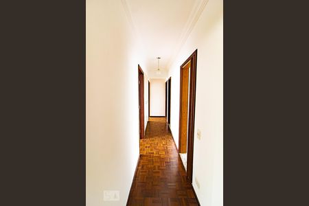 Corredor de apartamento para alugar com 3 quartos, 120m² em Água Verde, Curitiba