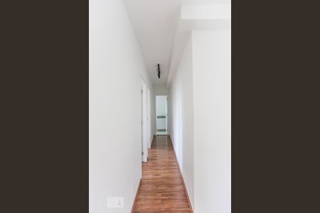Corredor de apartamento para alugar com 2 quartos, 56m² em Vila Butantã, São Paulo