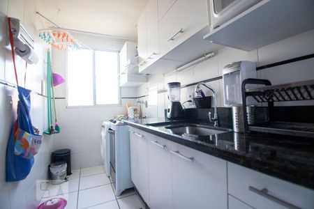 COZINHA de apartamento para alugar com 2 quartos, 52m² em Jardim Antonio Von Zuben, Campinas