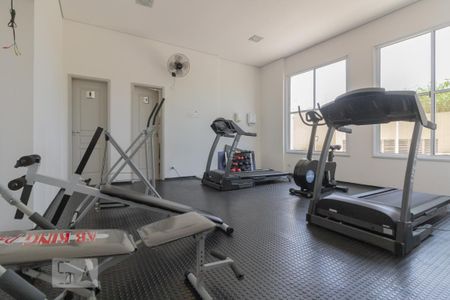 Academia de apartamento para alugar com 2 quartos, 69m² em Vila Vera, São Paulo
