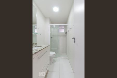 Banheiro Social de apartamento para alugar com 3 quartos, 70m² em Cidade Vargas, São Paulo