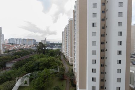 Vista Quarto 2 de apartamento para alugar com 3 quartos, 63m² em Vila Moreira, São Paulo
