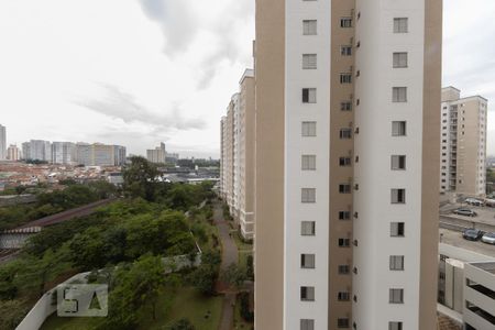 Vista Quarto 1 de apartamento para alugar com 3 quartos, 63m² em Vila Moreira, São Paulo