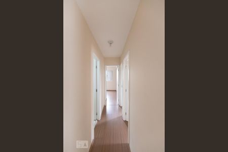 Corredor de Acesso aos Quartos de apartamento para alugar com 3 quartos, 63m² em Vila Moreira, São Paulo