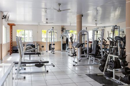 Apartamento para alugar com 70m², 3 quartos e 1 vagaAcademia