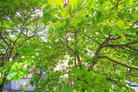 Apartamento à venda com 140m², 3 quartos e 2 vagasVista Sala