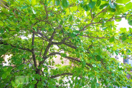 Apartamento à venda com 140m², 3 quartos e 2 vagasVista Quarto 1