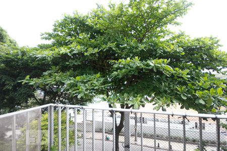 Vista de apartamento à venda com 3 quartos, 120m² em Barra da Tijuca, Rio de Janeiro