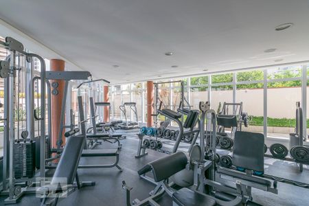 Academia de apartamento para alugar com 1 quarto, 104m² em Jardim, Santo André