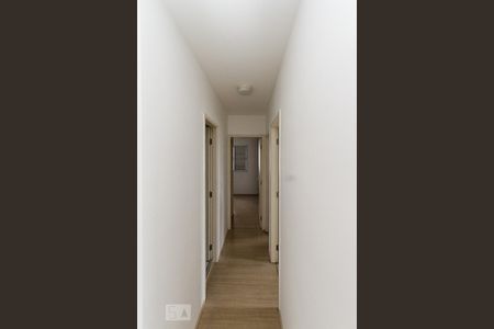 Corredor de apartamento para alugar com 3 quartos, 65m² em Vila Moreira, São Paulo