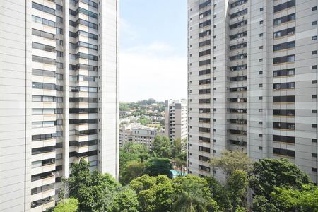 Vista de apartamento para alugar com 1 quarto, 35m² em Real Parque, São Paulo