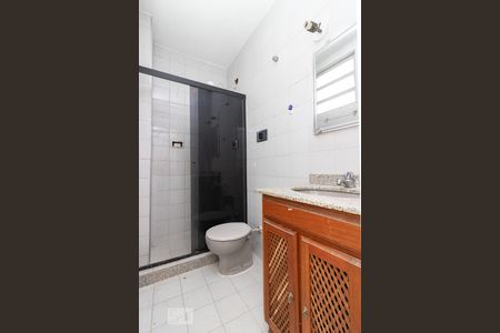 Banheiro de apartamento para alugar com 2 quartos, 45m² em Quintino Bocaiúva, Rio de Janeiro