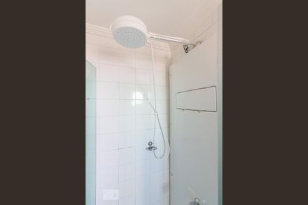 Banheiro de apartamento para alugar com 2 quartos, 50m² em Piqueri, São Paulo
