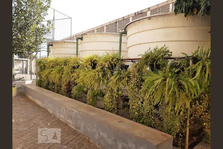 Apartamento para alugar com 62m², 2 quartos e 1 vaga Apartamento para alugar com 62m², 2 quartos e 1 vagaHorta